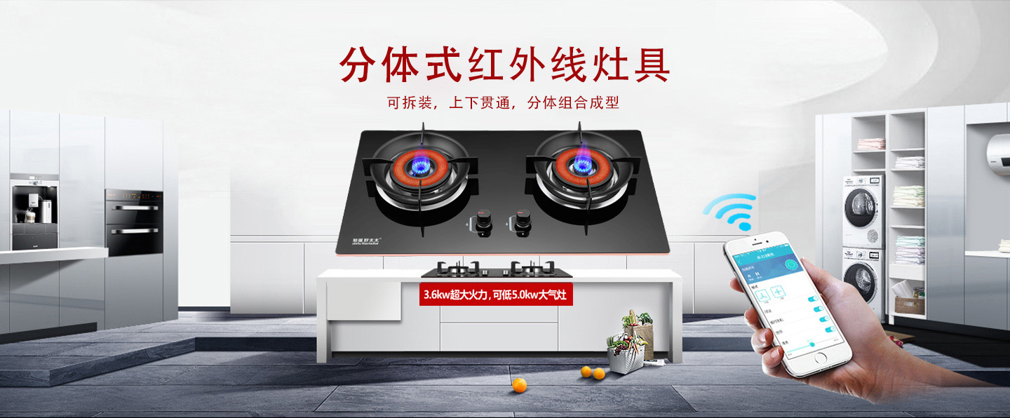 燃?xì)庠罹邚S(chǎng)家